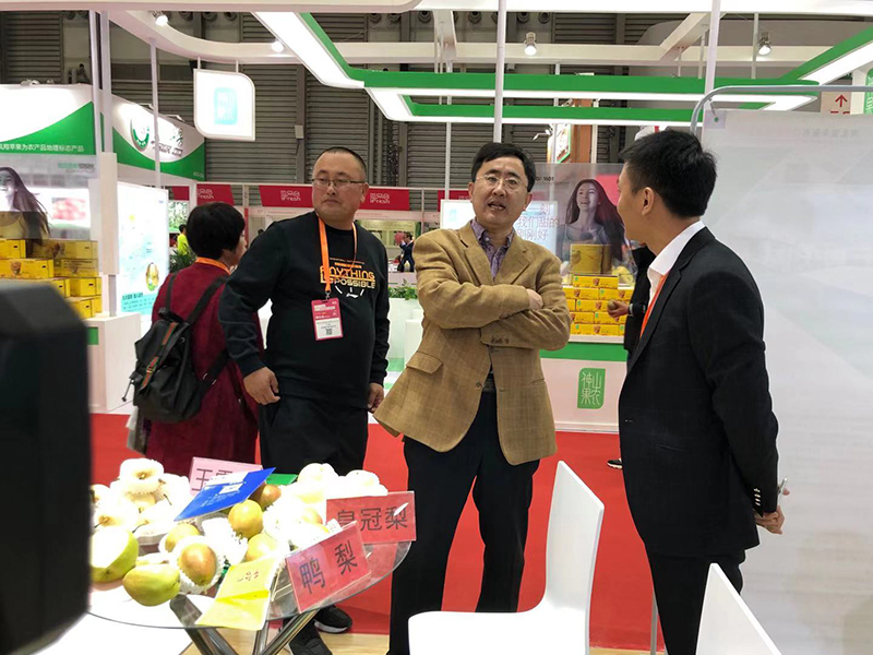 辛集市市委常委統戰部部長張向，農業農村局副局長呂潤航等領導帶團參加了在上海舉辦的亞洲果蔬博覽會